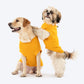 TLC Stay Pawsitive T-Shirt For Dog - Yellow_06