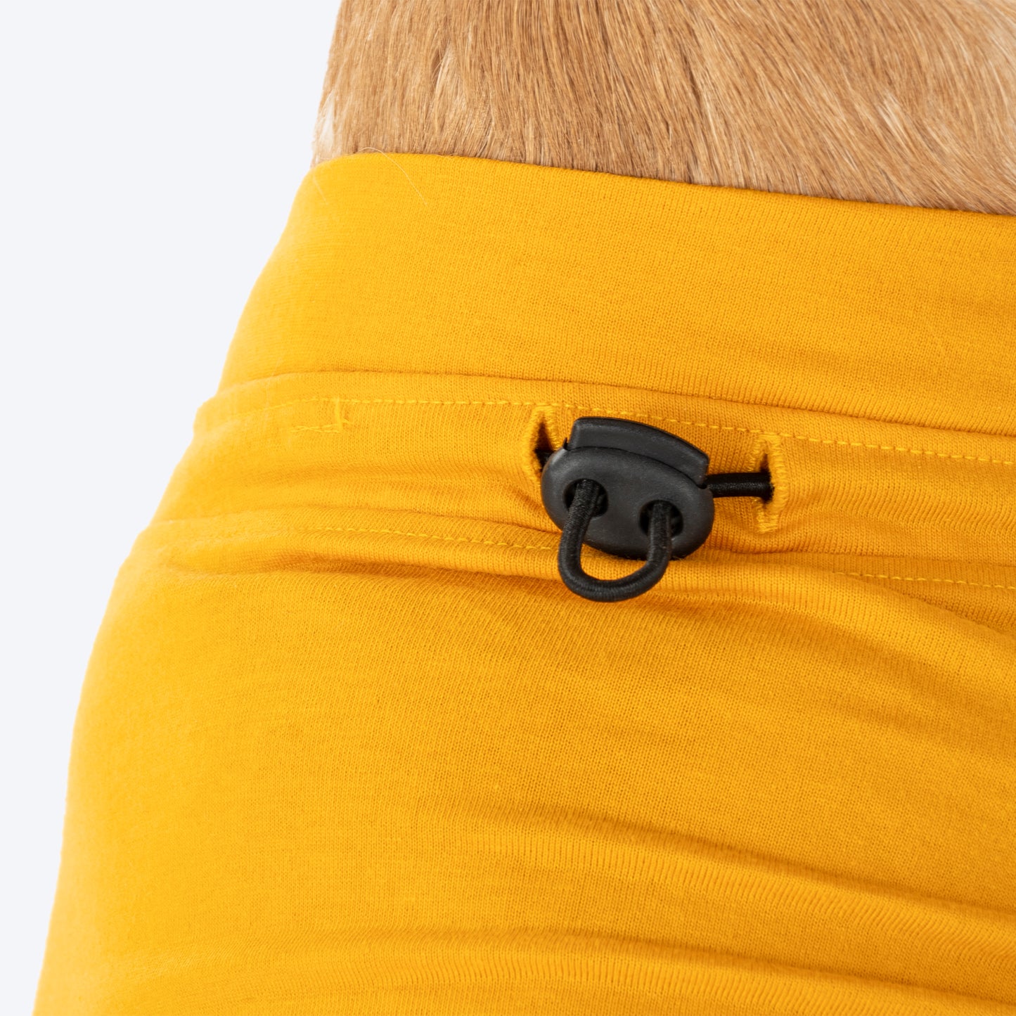 TLC Stay Pawsitive T-Shirt For Dog - Yellow_07