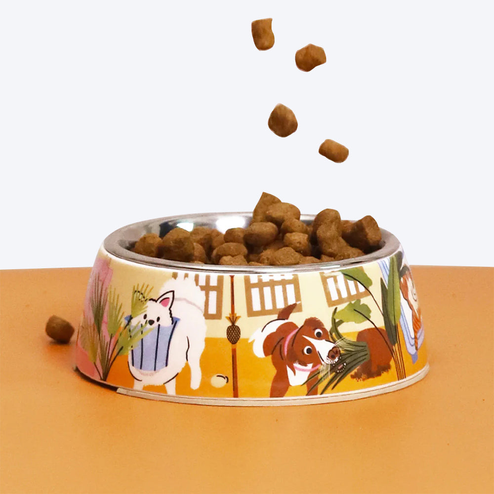 The Plated Project Pawprints Of Joy Pet Bowl - Multicolor - S_06