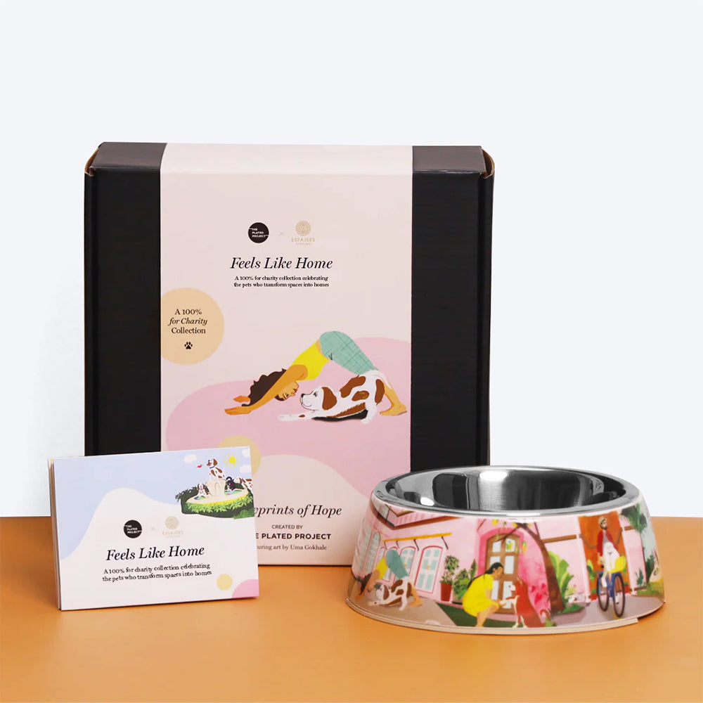 The Plated Project Pawprints Of Hope Pet Bowl - Multicolor - L_09