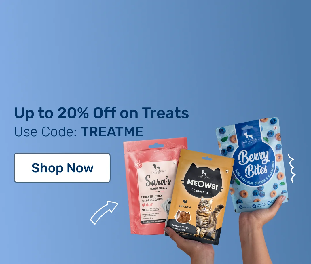 Treats for Dogs & Cats