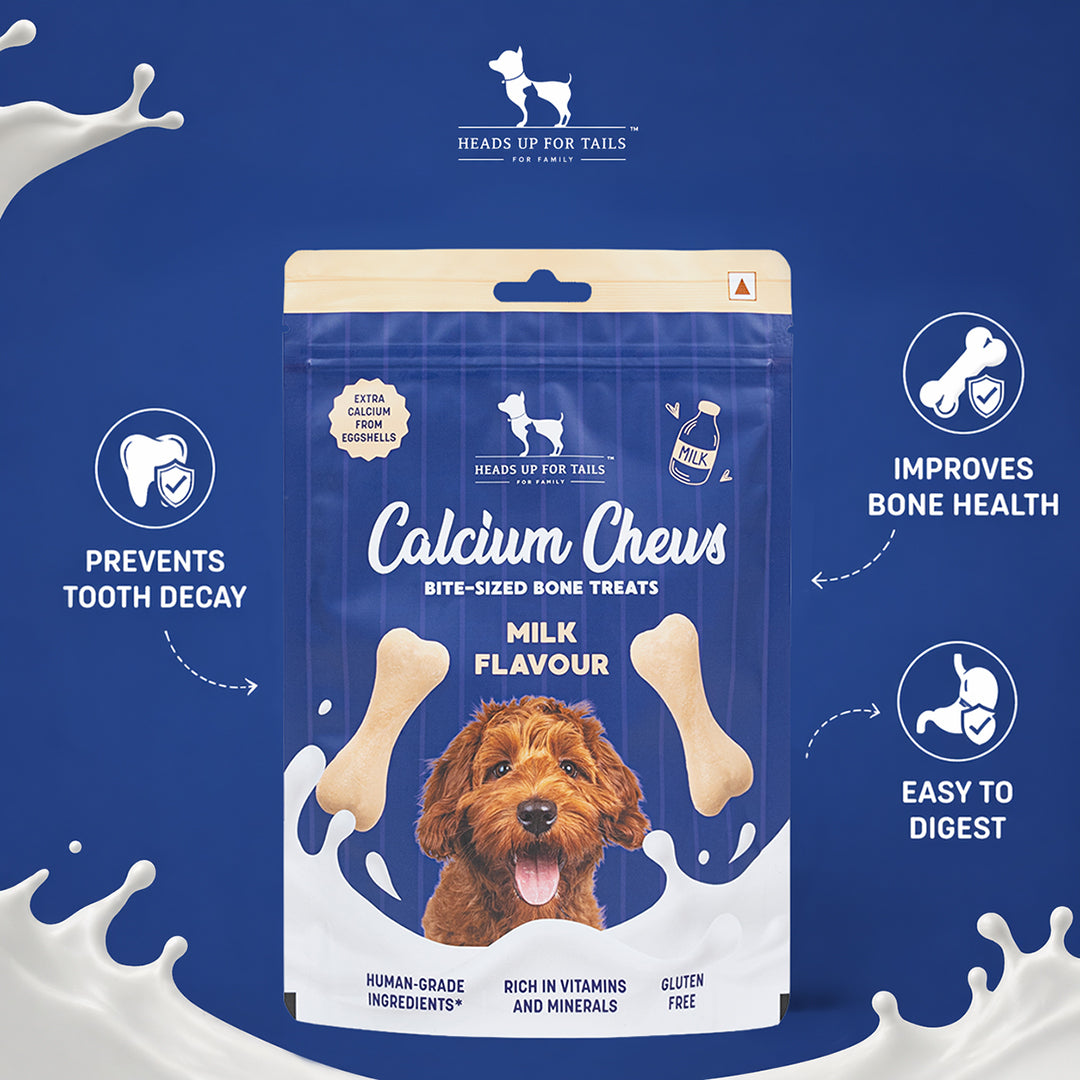 Try Everything Box For Dog - Heads Up For Tails