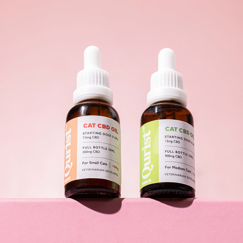 Qurist CBD Oil For Medium Cat (Above 5 kg) - 900 mg - 30 ml - Heads Up For Tails