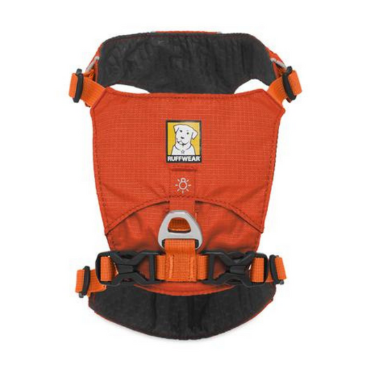 Ruffwear Hi & Light Dog Harness - Sockeye Red - Heads Up For Tails