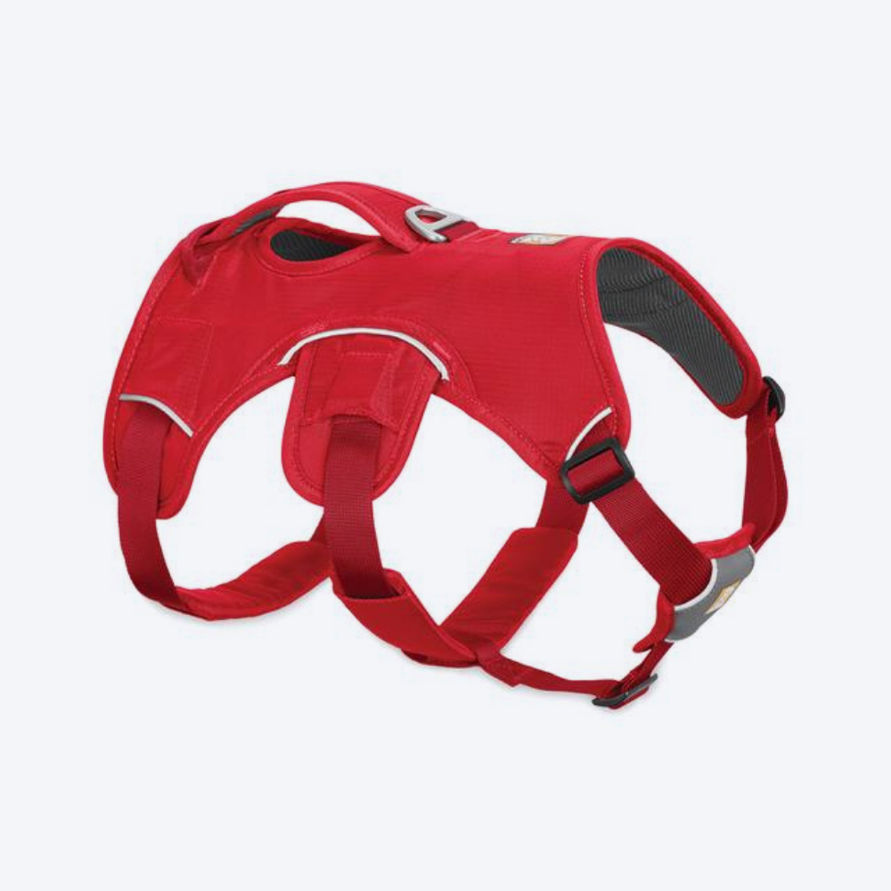 Ruffwear Web Master Dog Harness - Red Current - Heads Up For Tails