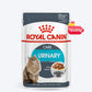 Royal Canin Urinary Care Gravy Wet Cat Food - 85 g packs