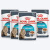Royal Canin Urinary Care Gravy Wet Cat Food - 85 g packs - Heads Up For Tails