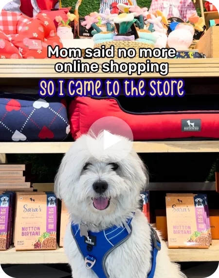 Mom said no more online shopping!