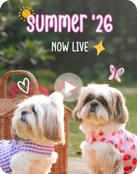 Storybook Summer begins