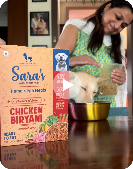 Ghar pe butter chicken bana hai!