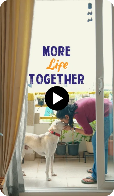 More Life Together 🧡