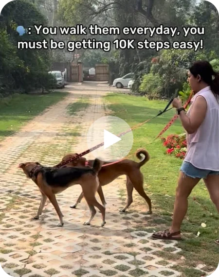 You must be getting 10K steps easily!