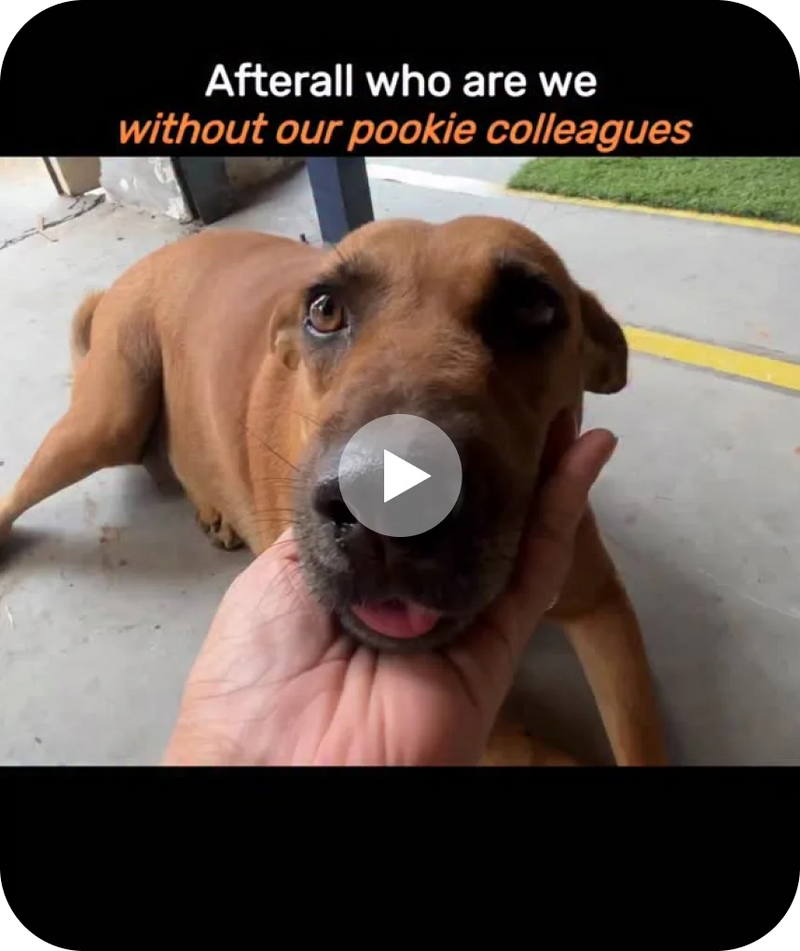 Who are we without them!