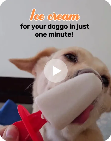 Ice cream for your doggo in one minute