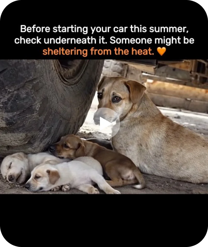 It only takes a second