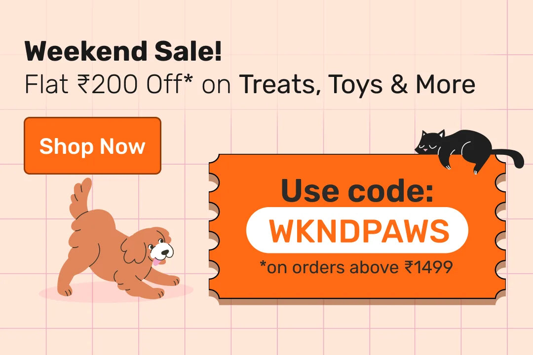 Dog Toys