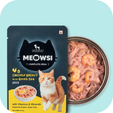 Wet Food