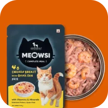 Wet Food