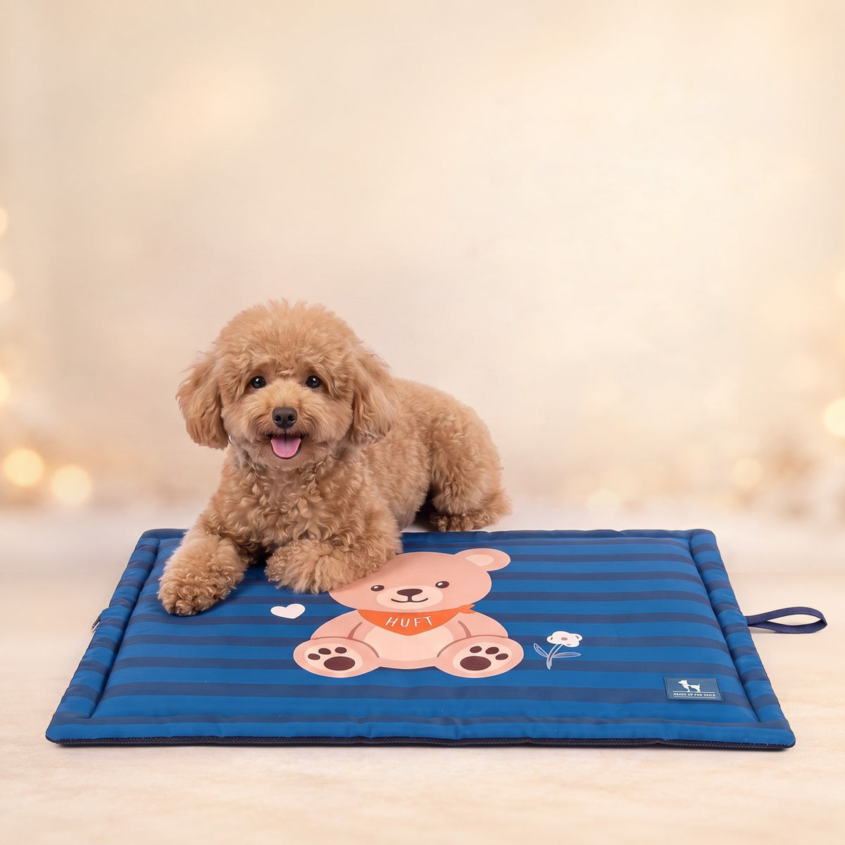 HUFT Bear Hug Mat For Dog & Cat - Blue