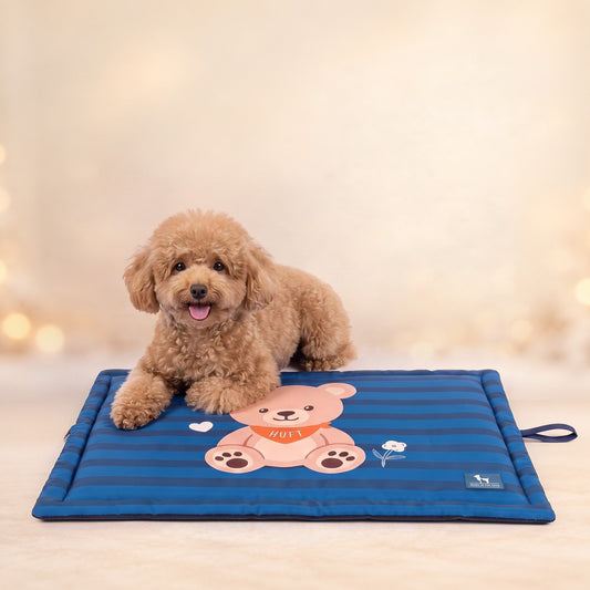 HUFT Bear Hug Mat For Dog & Cat - Blue