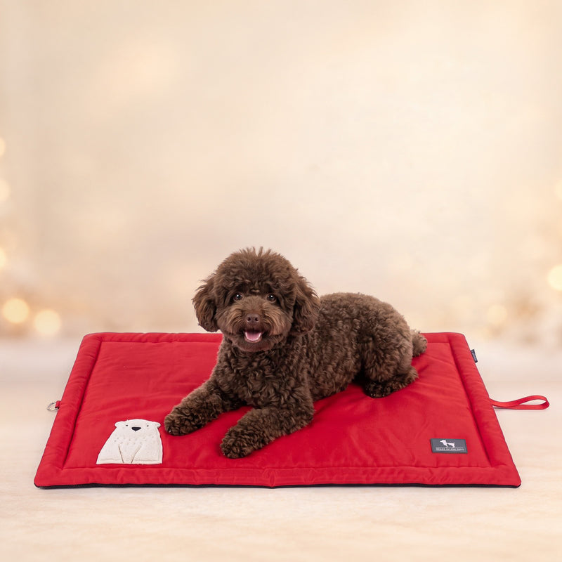 HUFT Cloudy Bear Classic Mat For Dog & Cat - Red