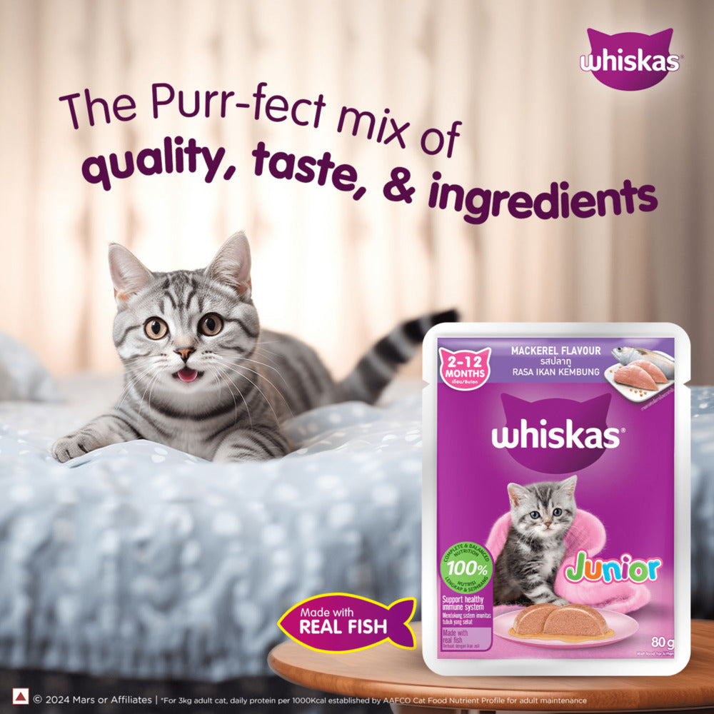 Heart to tail wet cat food reviews shop