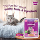 Whiskas Mackerel In Jelly Wet Food For Junior (2-12 Months) Kitten - 80 gm Pack