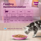 Whiskas Mackerel In Jelly Wet Food For Junior (2-12 Months) Kitten - 80 gm Pack