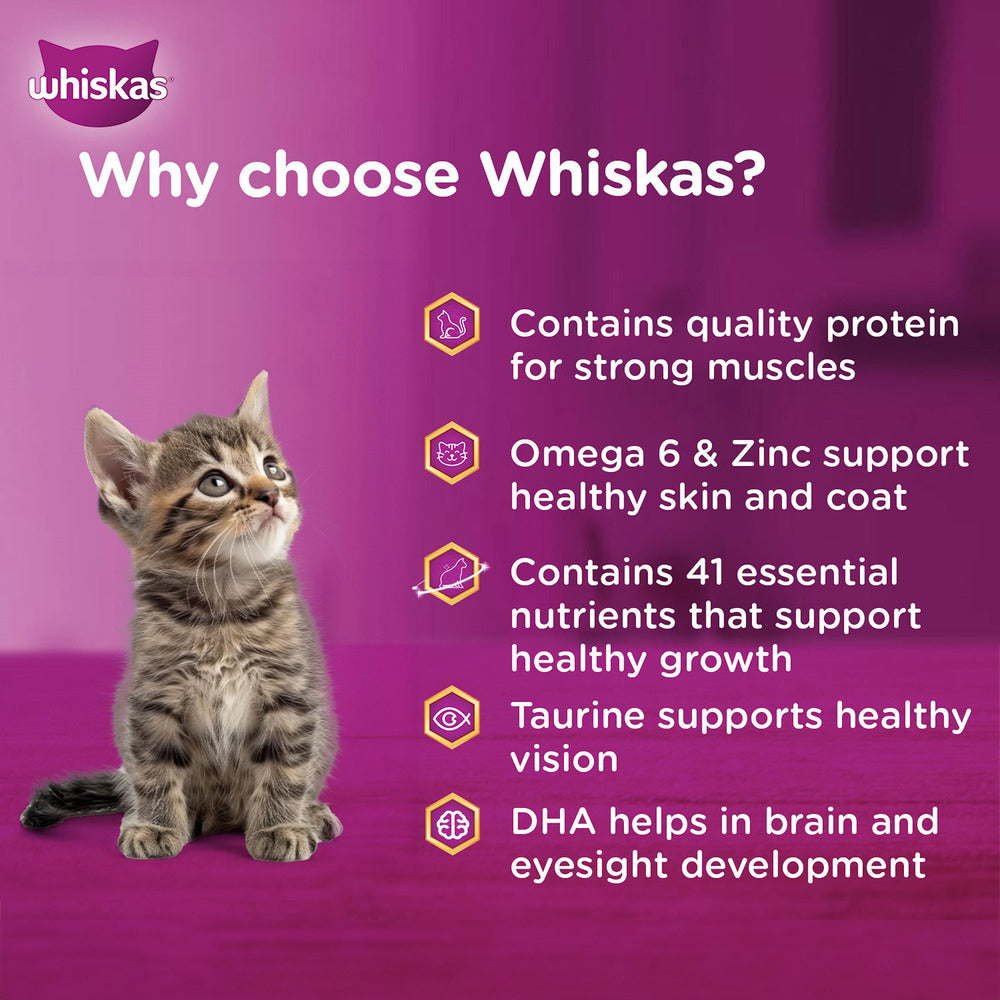 Whiskas Tuna in Jelly (2-12 Months) Wet Food For Kitten - 80 gm Packs_03