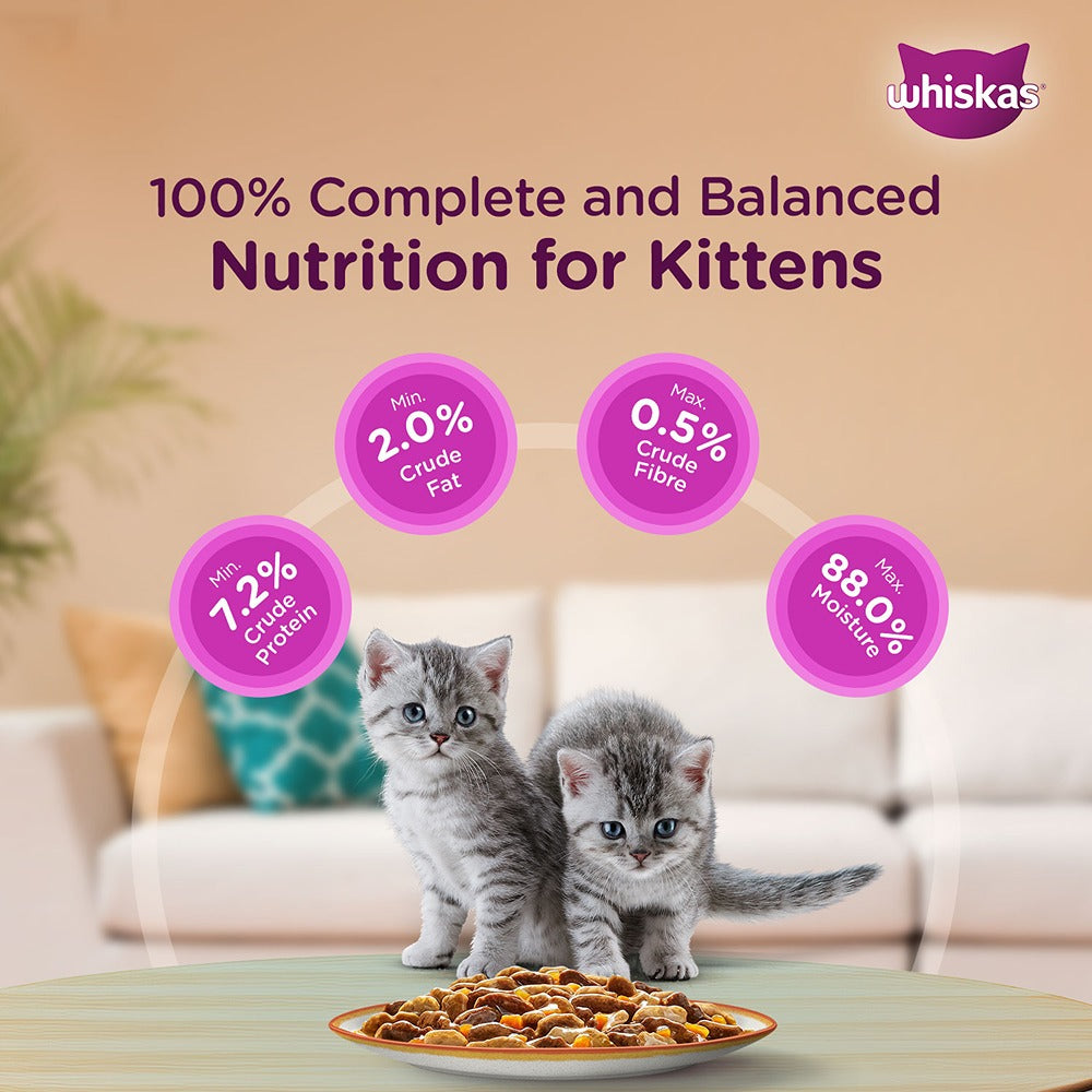 Feeding kittens tuna top