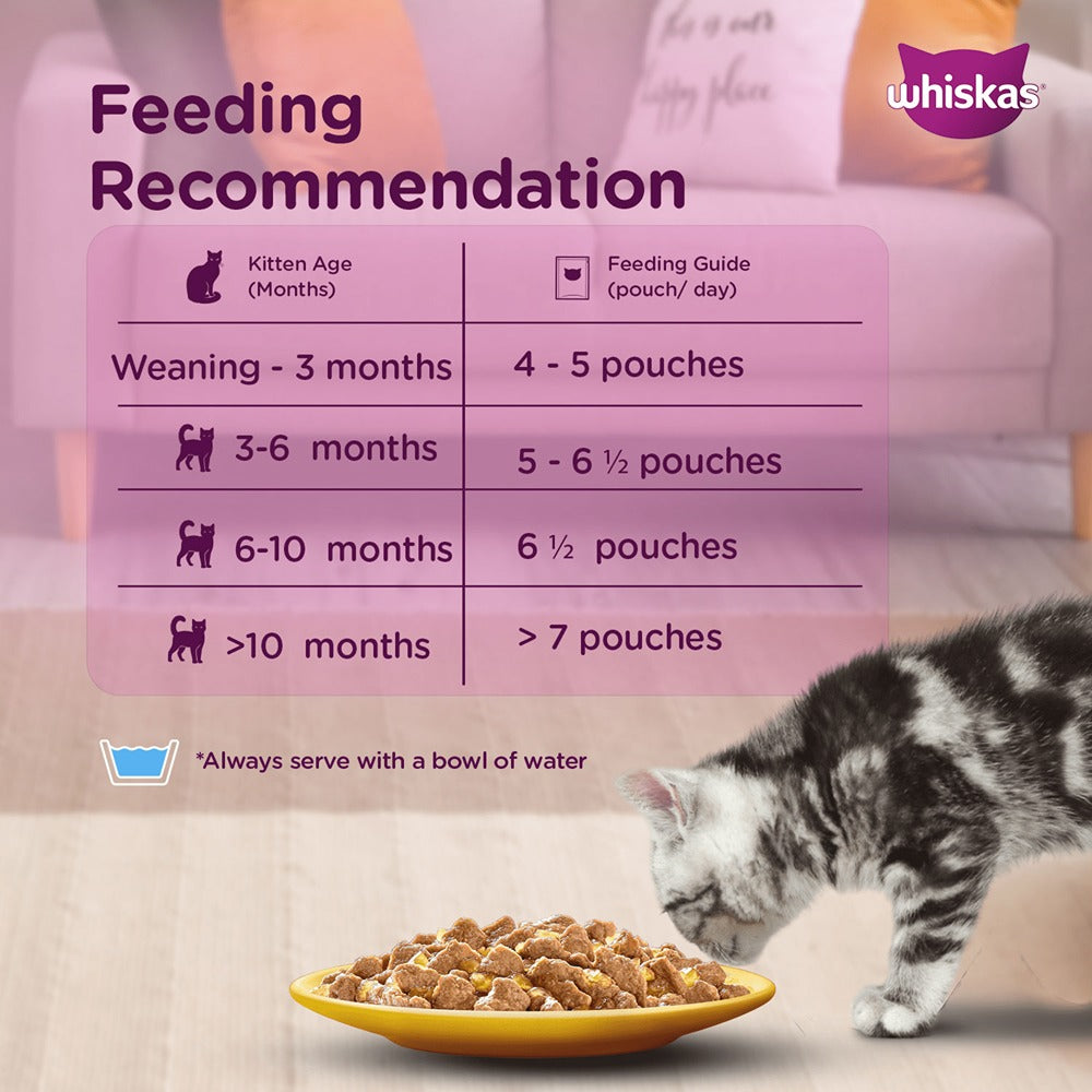 How much soft food should a kitten eat top