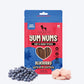 HUFT Yum Nums Soft & Chewy Sticks Blueberry With Real Chicken Treat For Dogs - 70 g