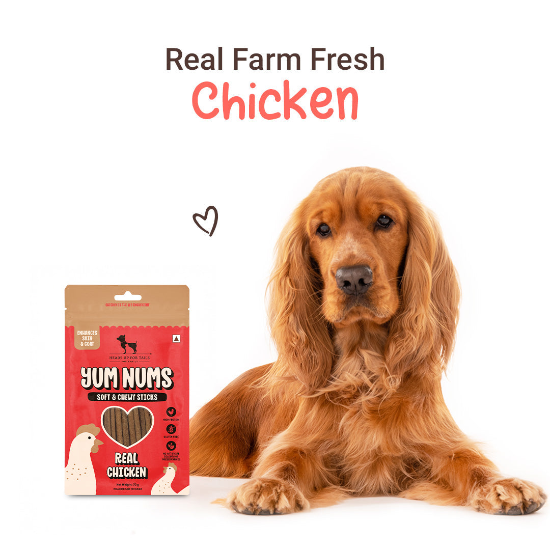 HUFT Yum Nums Soft & Chewy Sticks Real Chicken Treat For Dogs - 70 g