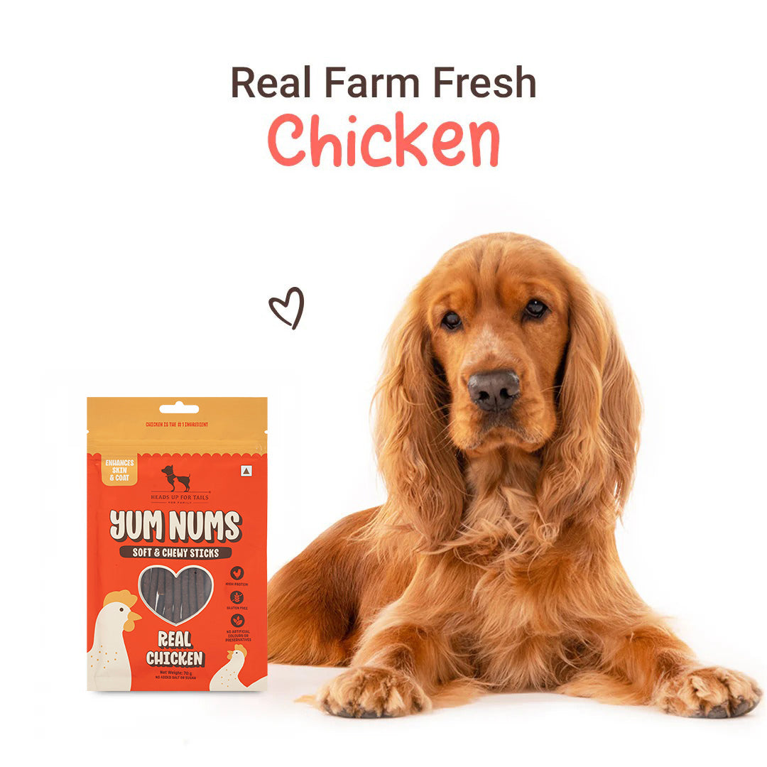 HUFT Yum Nums Soft & Chewy Sticks Real Chicken Treat For Dogs - 70 g - Heads Up For Tails