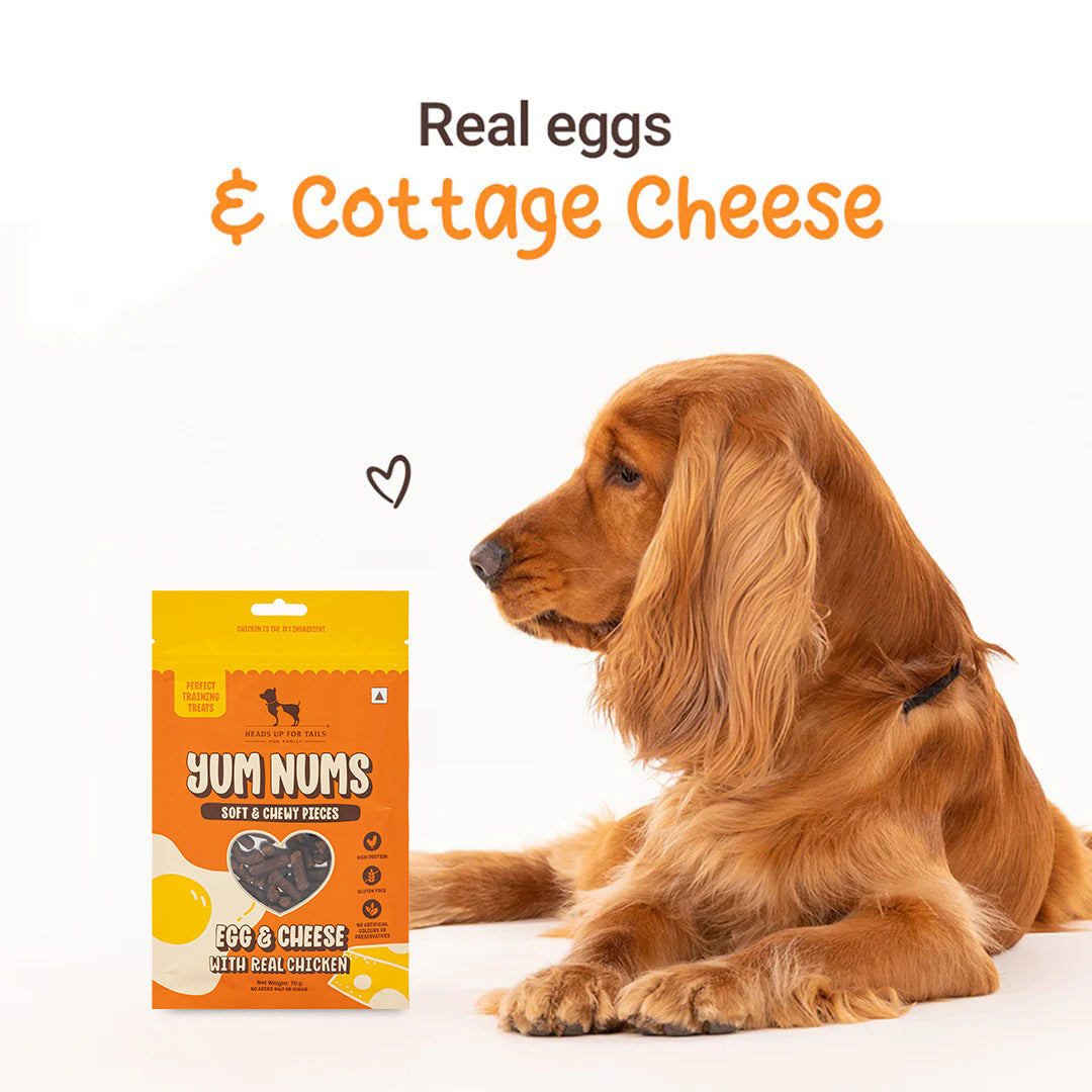 HUFT Training Duo Soft Treats Combo For Dogs - Heads Up For Tails