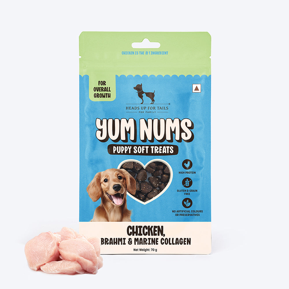 HUFT Yum Nums Chicken, Brahmi & Marine Collagen Soft Treat For Puppy - 70 gm_01