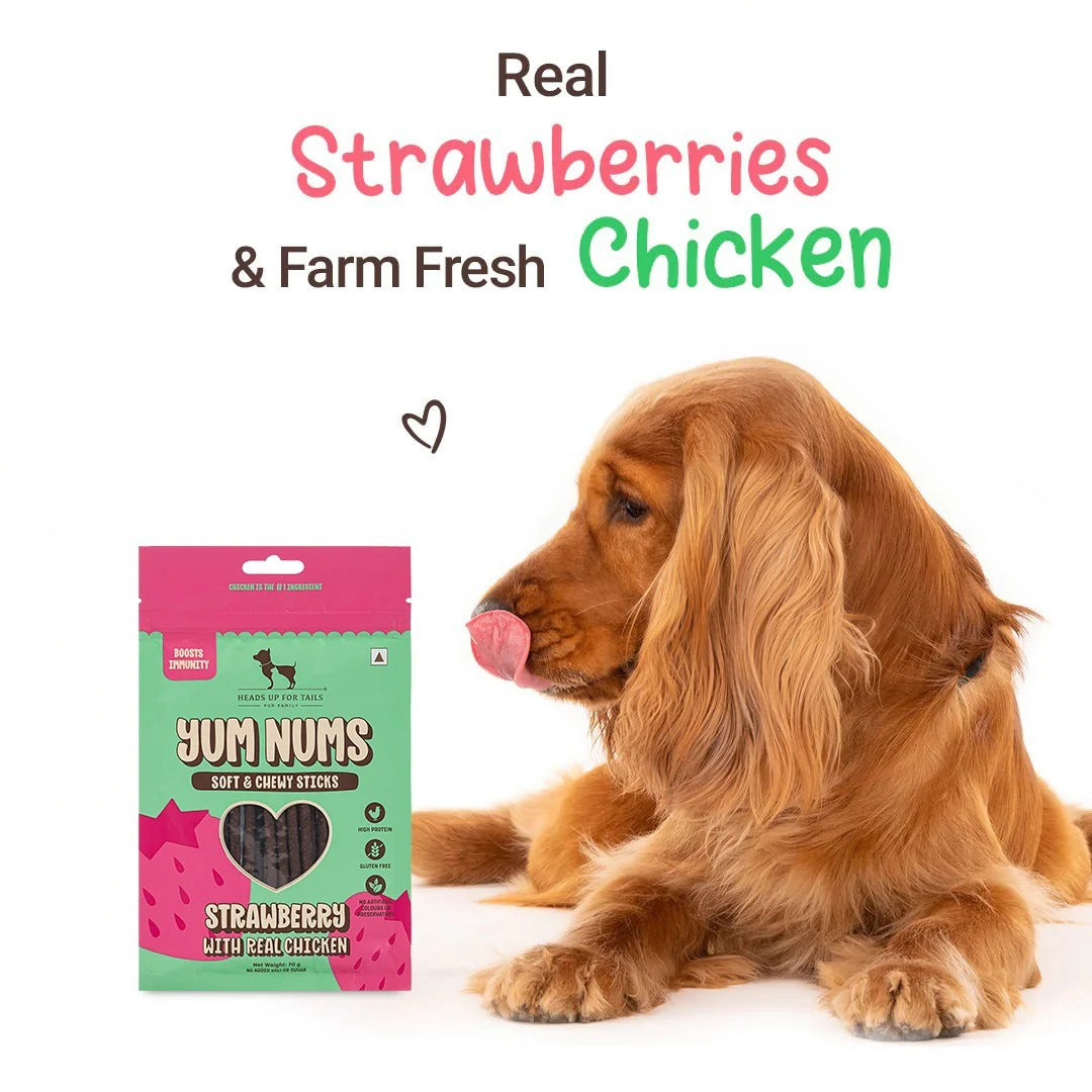 HUFT Yum Nums Soft & Chewy Sticks Strawberry with Real Chicken Dog Treat - 70 gm