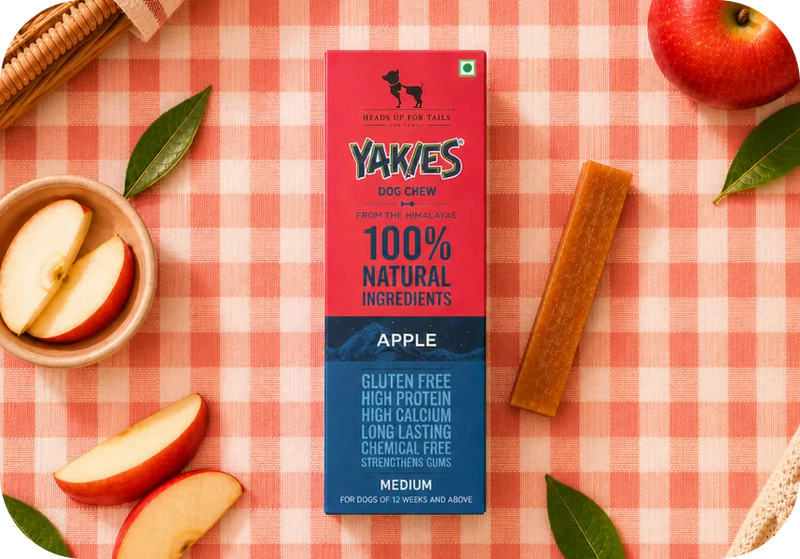 Long-Lasting Chews