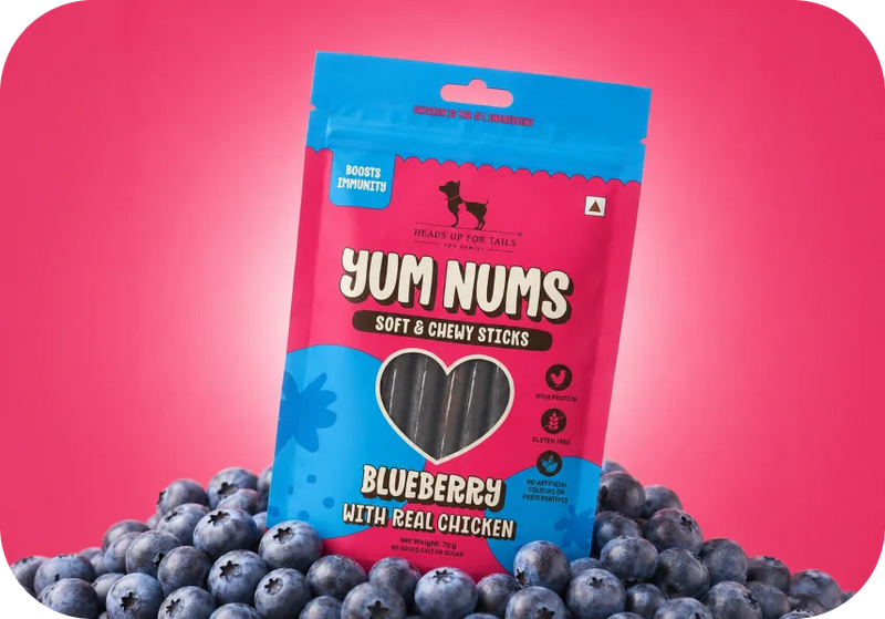 Shop Yum Nums →