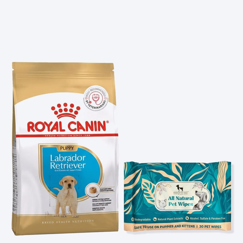 Royal Canin Labrador Retriever Puppy Dry Dog Food