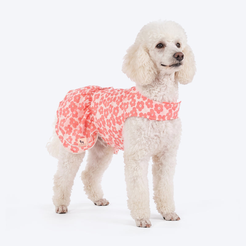 HUFT Daisy Printed Dress For Dog - Coral & White