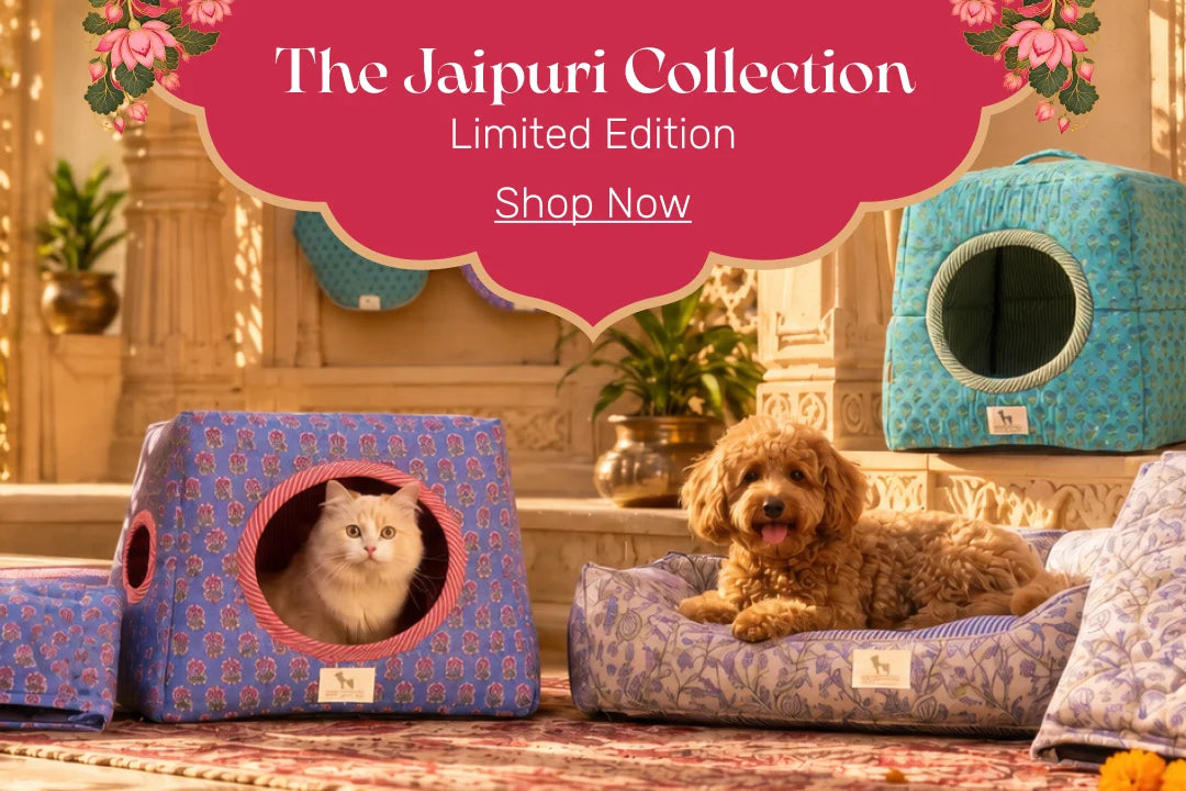 Jaipuri Collection HUFT