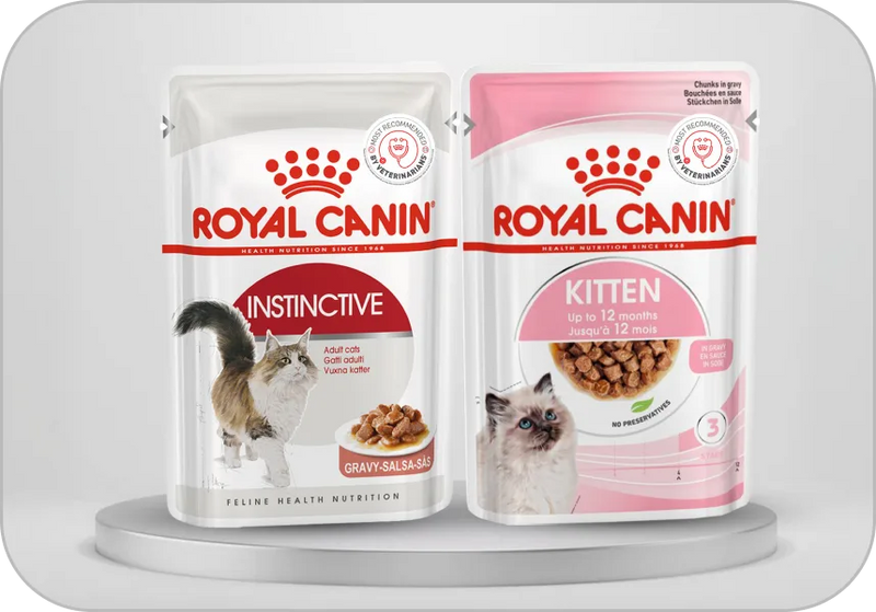 Cat & Kitten Food →
