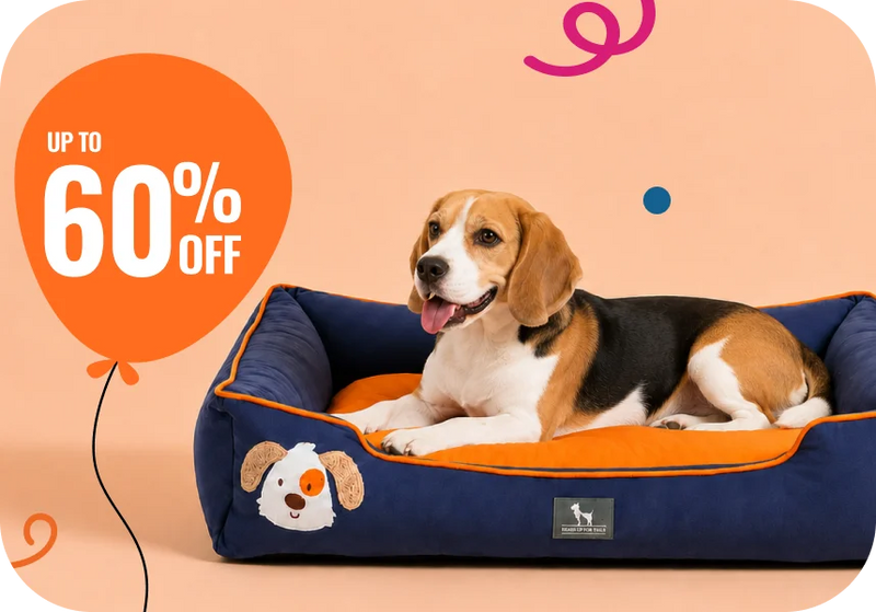 Shop Beds →