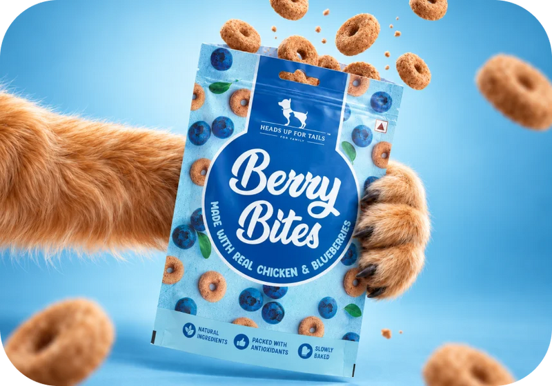 Shop Berry Bites →