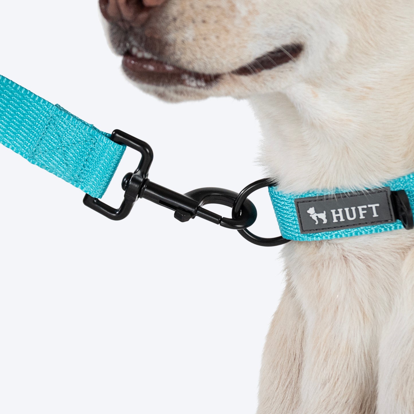 HUFT Basics Dog Collar - Blue - Heads Up For Tails
