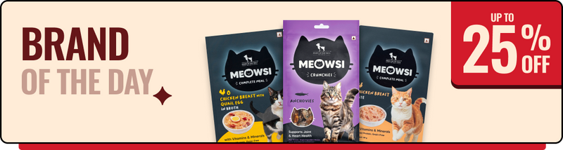Shop Meowsi