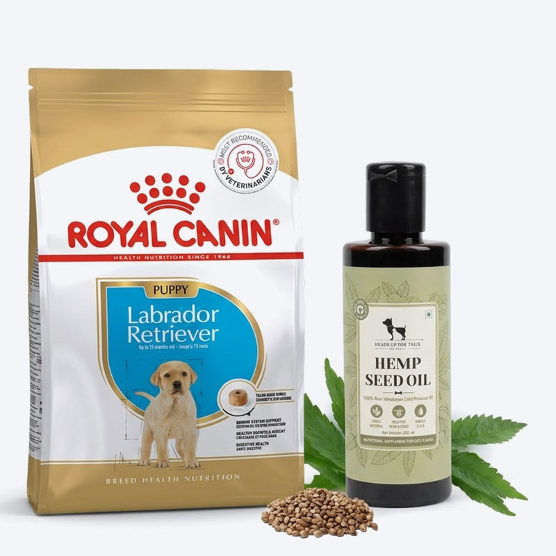 Royal Canin Labrador Retriever Puppy Dry Dog Food