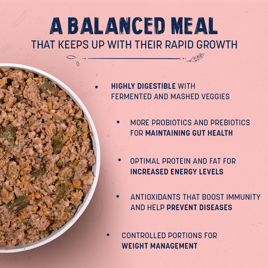 Sara's Wholesome Chicken & Brown Rice Puppy Food, 100 gm, made with 60% meat and 40% fruits and veggies, ready to eat.