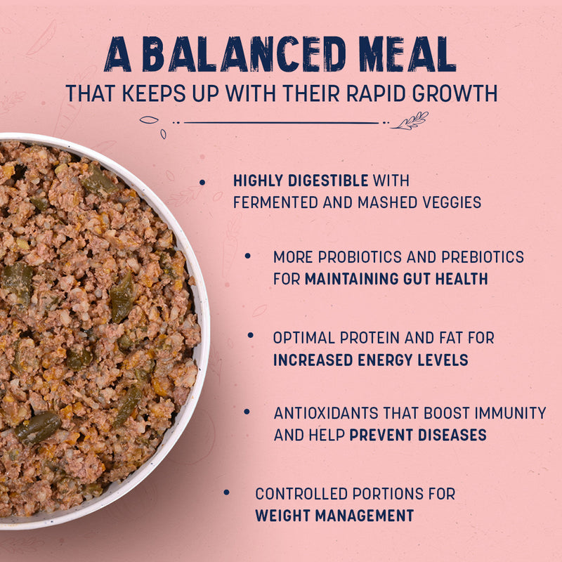 Sara's Wholesome Chicken & Brown Rice Puppy Food, 100 gm, made with 60% meat and 40% fruits and veggies, ready to eat.
